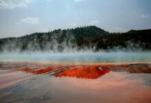 Remington Hot Springs