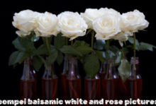 pompei balsamic white and rose pictures