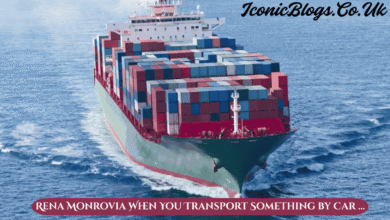 Rena Monrovia When You Transport Something by Car …