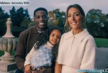 Harry Aikines-Aryeetey Wife