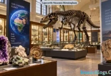 Lapworth Museum Birmingham