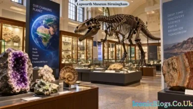 Lapworth Museum Birmingham