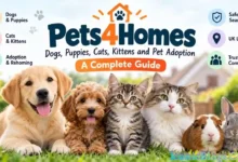 Pets4Homes