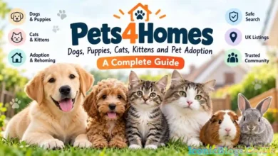 Pets4Homes